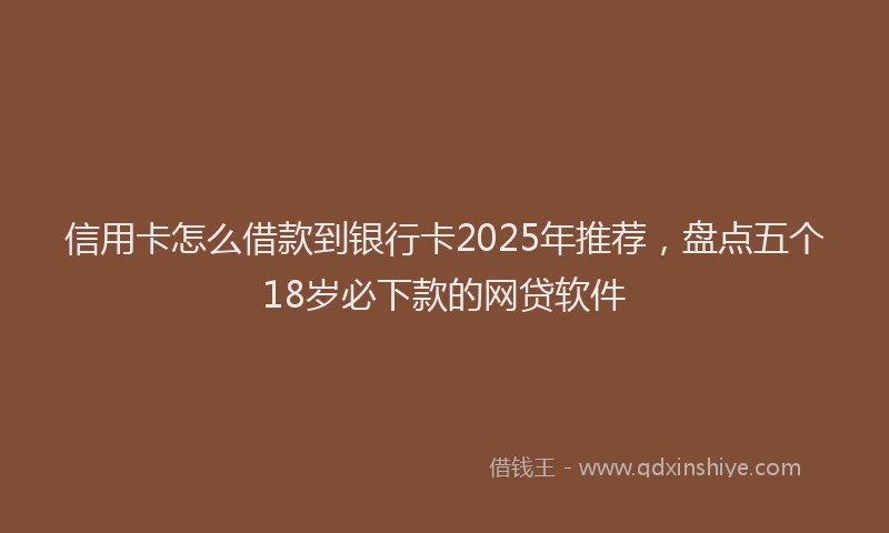 信用卡怎么借款到银行卡2025年推荐，盘点五个18岁必下款的网贷软件