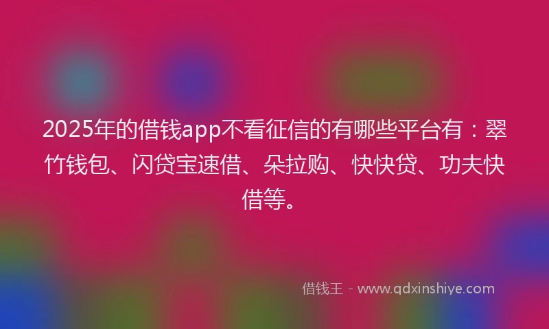 2025年的借钱app不看征信的有哪些平台有：翠竹钱包、闪贷宝速借、朵拉购、快快贷、功夫快借等。