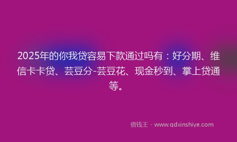 2025年的你我贷容易下款通过吗有：好分期、维信卡卡贷、芸豆分-芸豆花、现金秒到、掌上贷通等。