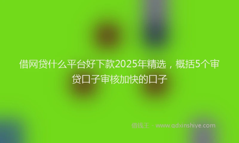 借网贷什么平台好下款2025年精选，概括5个审贷口子审核加快的口子
