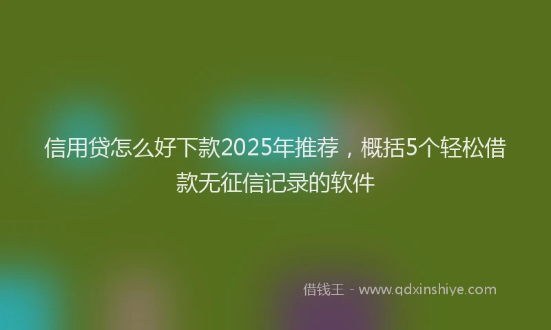 信用贷怎么好下款2025年推荐，概括5个轻松借款无征信记录的软件