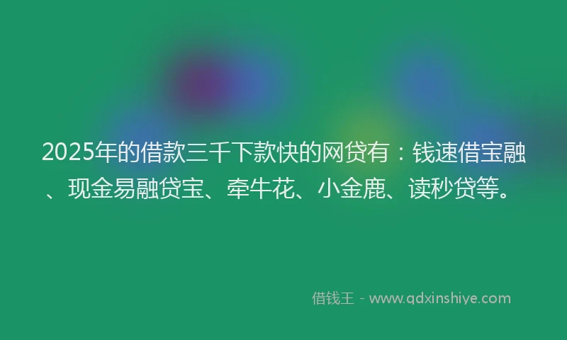 2025年的借款三千下款快的网贷有：钱速借宝融、现金易融贷宝、牵牛花、小金鹿、读秒贷等。