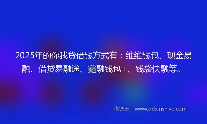 2025年的你我贷借钱方式有：维维钱包、现金易融、借贷易融途、鑫融钱包+、钱袋快融等。