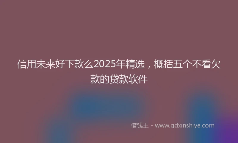 信用未来好下款么2025年精选，概括五个不看欠款的贷款软件