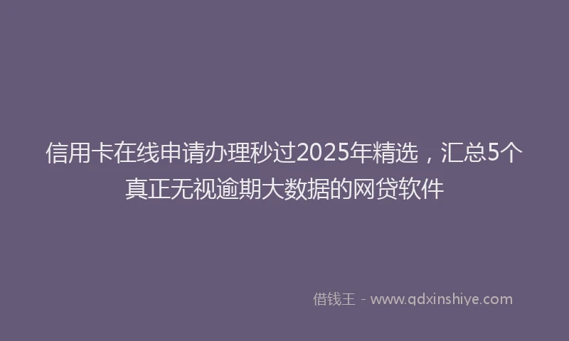 信用卡在线申请办理秒过2025年精选，汇总5个真正无视逾期大数据的网贷软件