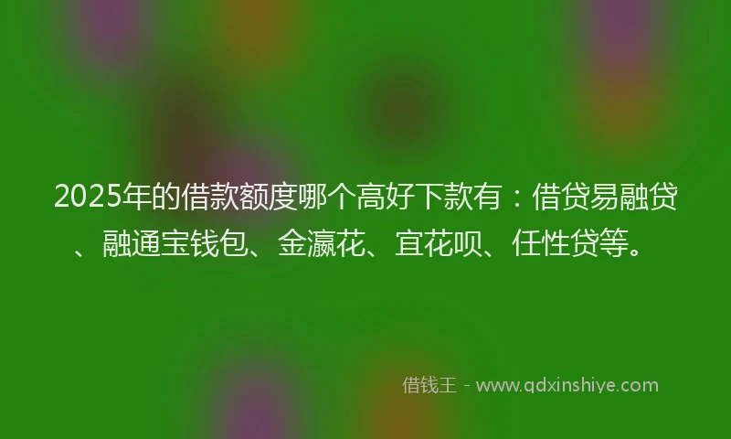 2025年的借款额度哪个高好下款有：借贷易融贷、融通宝钱包、金瀛花、宜花呗、任性贷等。