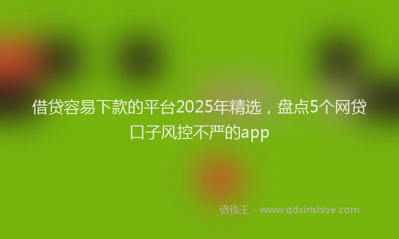 借贷容易下款的平台2025年精选，盘点5个网贷口子风控不严的app