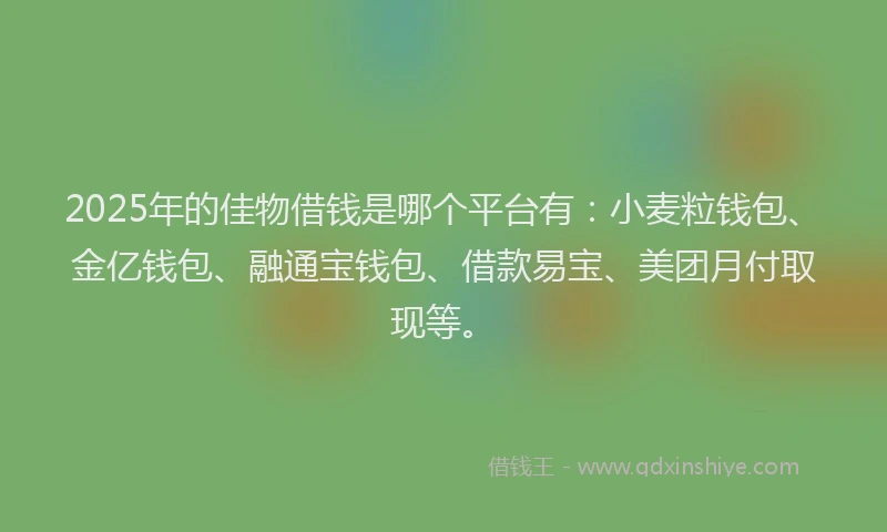 2025年的佳物借钱是哪个平台有：小麦粒钱包、金亿钱包、融通宝钱包、借款易宝、美团月付取现等。