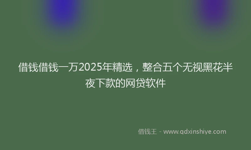 借钱借钱一万2025年精选，整合五个无视黑花半夜下款的网贷软件