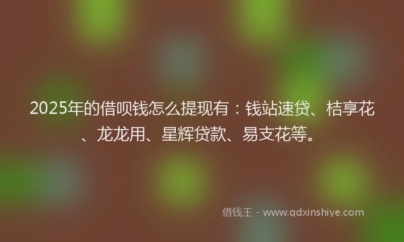 2025年的借呗钱怎么提现有：钱站速贷、桔享花、龙龙用、星辉贷款、易支花等。