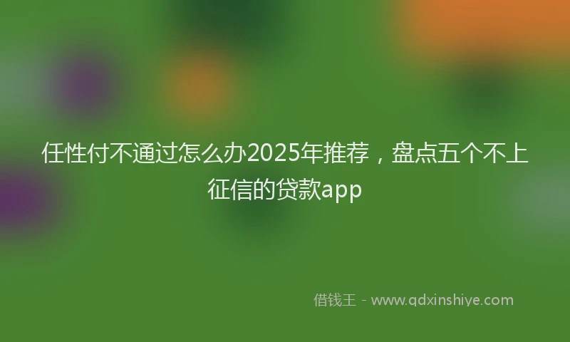 任性付不通过怎么办2025年推荐，盘点五个不上征信的贷款app