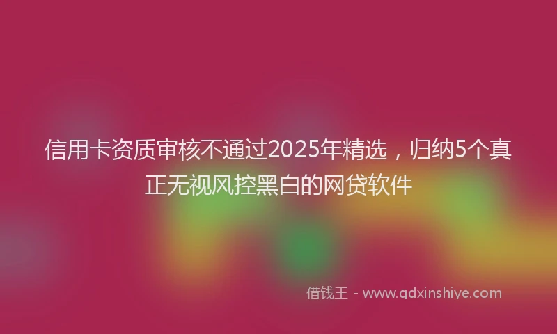 信用卡资质审核不通过2025年精选，归纳5个真正无视风控黑白的网贷软件