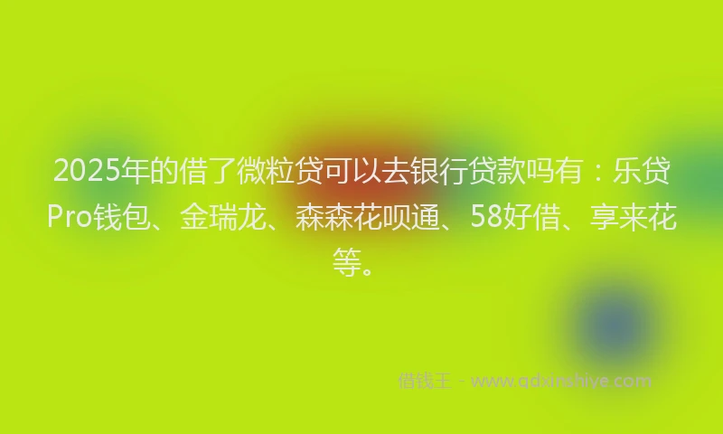 2025年的借了微粒贷可以去银行贷款吗有：乐贷Pro钱包、金瑞龙、森森花呗通、58好借、享来花等。
