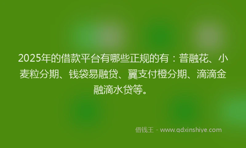 2025年的借款平台有哪些正规的有：普融花、小麦粒分期、钱袋易融贷、翼支付橙分期、滴滴金融滴水贷等。