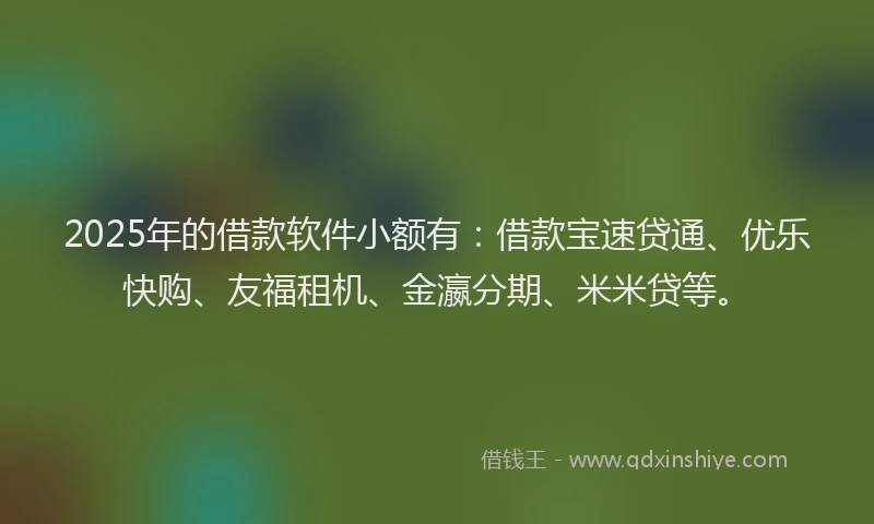 2025年的借款软件小额有：借款宝速贷通、优乐快购、友福租机、金瀛分期、米米贷等。