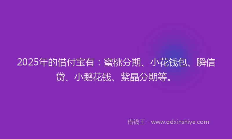 2025年的借付宝有：蜜桃分期、小花钱包、瞬信贷、小鹅花钱、紫晶分期等。
