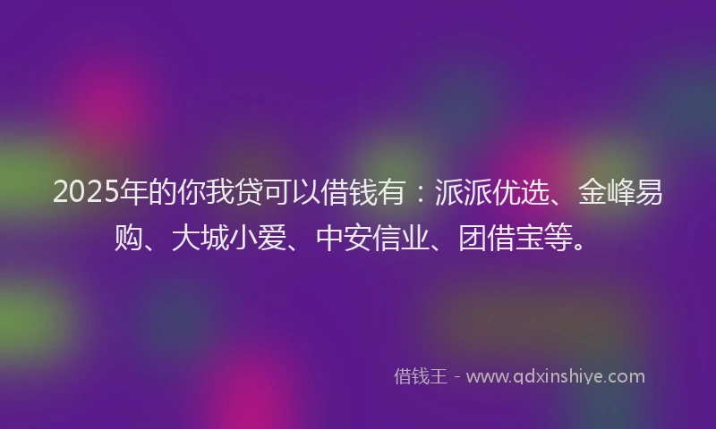 2025年的你我贷可以借钱有：派派优选、金峰易购、大城小爱、中安信业、团借宝等。