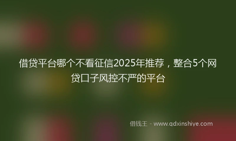 借贷平台哪个不看征信2025年推荐，整合5个网贷口子风控不严的平台
