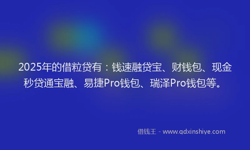 2025年的借粒贷有：钱速融贷宝、财钱包、现金秒贷通宝融、易捷Pro钱包、瑞泽Pro钱包等。