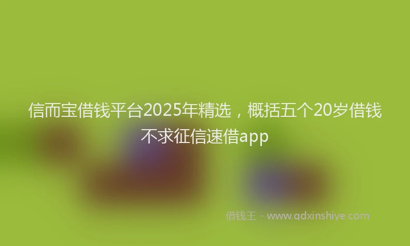 信而宝借钱平台2025年精选，概括五个20岁借钱不求征信速借app