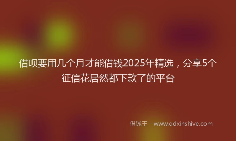 借呗要用几个月才能借钱2025年精选，分享5个征信花居然都下款了的平台