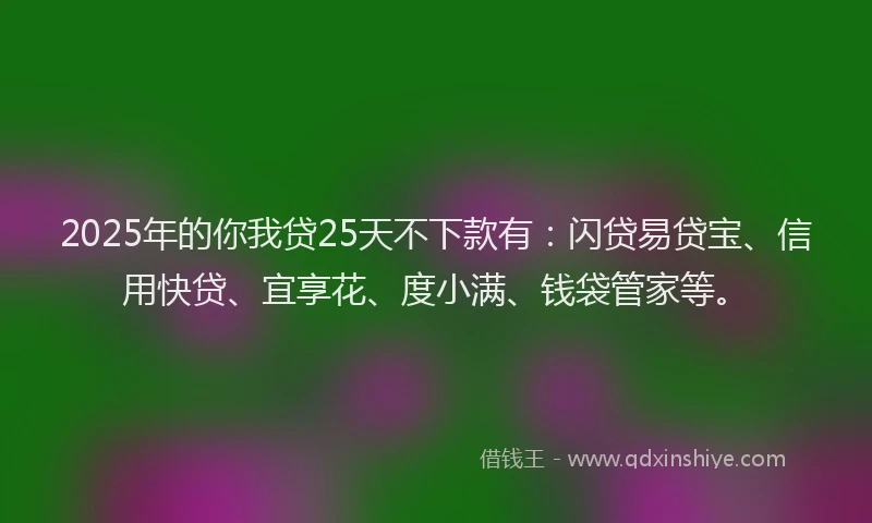 2025年的你我贷25天不下款有：闪贷易贷宝、信用快贷、宜享花、度小满、钱袋管家等。