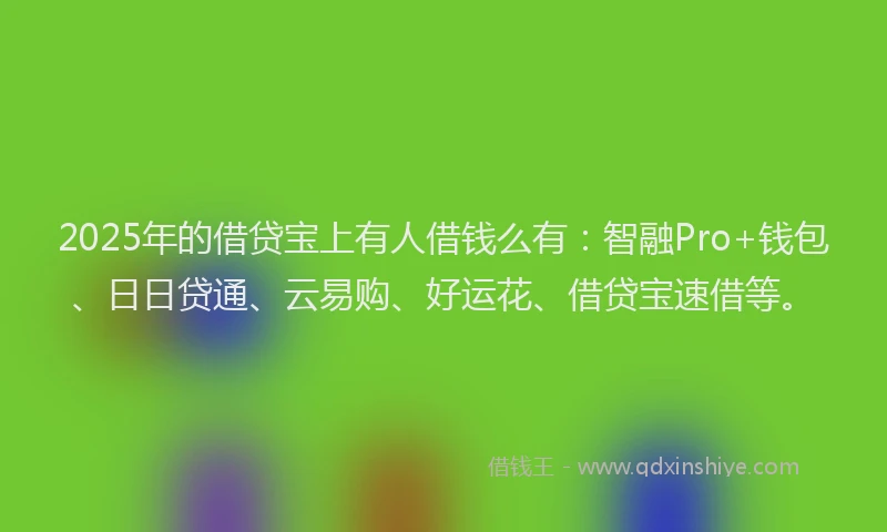 2025年的借贷宝上有人借钱么有：智融Pro+钱包、日日贷通、云易购、好运花、借贷宝速借等。