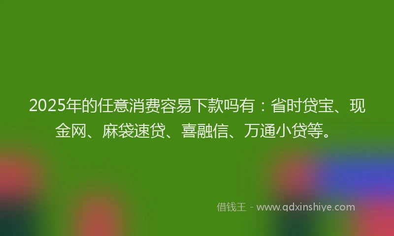 2025年的任意消费容易下款吗有：省时贷宝、现金网、麻袋速贷、喜融信、万通小贷等。
