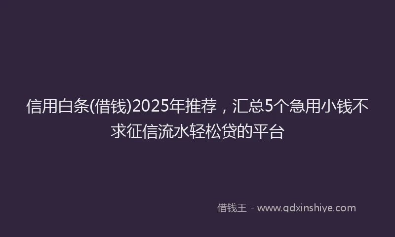 信用白条(借钱)2025年推荐，汇总5个急用小钱不求征信流水轻松贷的平台