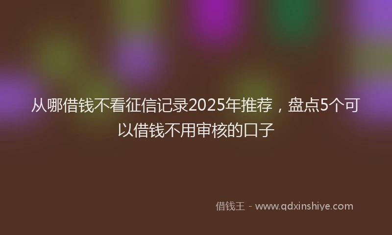 从哪借钱不看征信记录2025年推荐，盘点5个可以借钱不用审核的口子