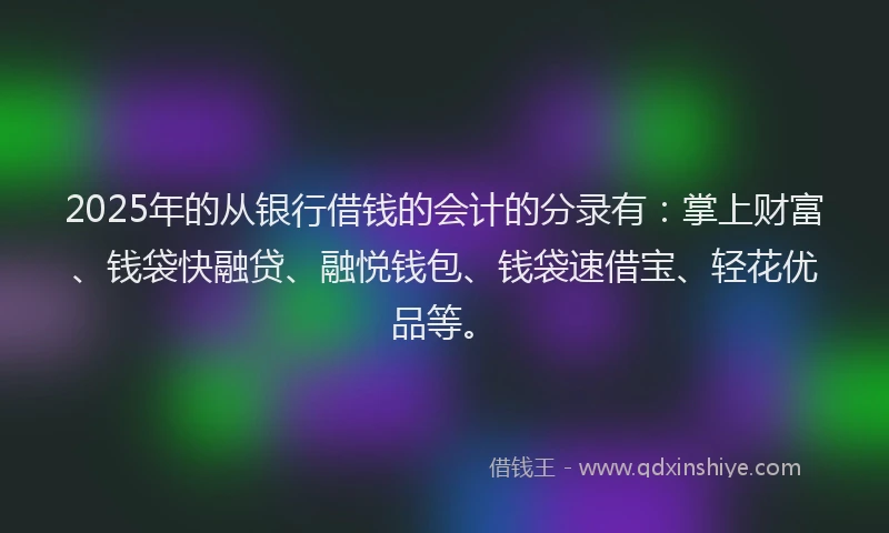 2025年的从银行借钱的会计的分录有：掌上财富、钱袋快融贷、融悦钱包、钱袋速借宝、轻花优品等。