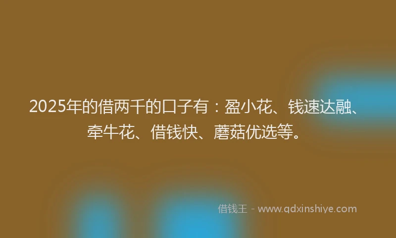 2025年的借两千的口子有：盈小花、钱速达融、牵牛花、借钱快、蘑菇优选等。