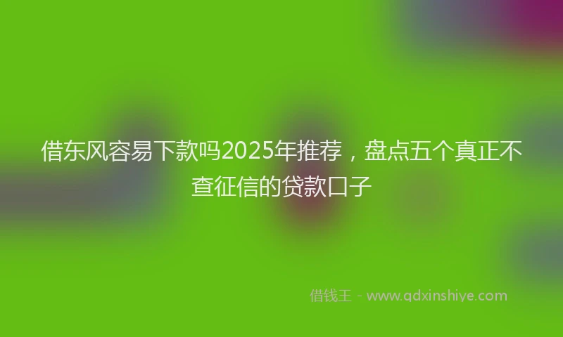 借东风容易下款吗2025年推荐，盘点五个真正不查征信的贷款口子