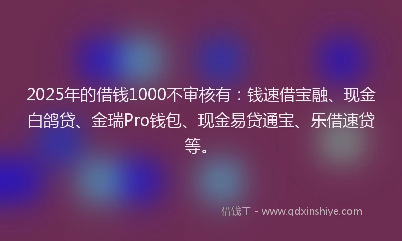 2025年的借钱1000不审核有：钱速借宝融、现金白鸽贷、金瑞Pro钱包、现金易贷通宝、乐借速贷等。