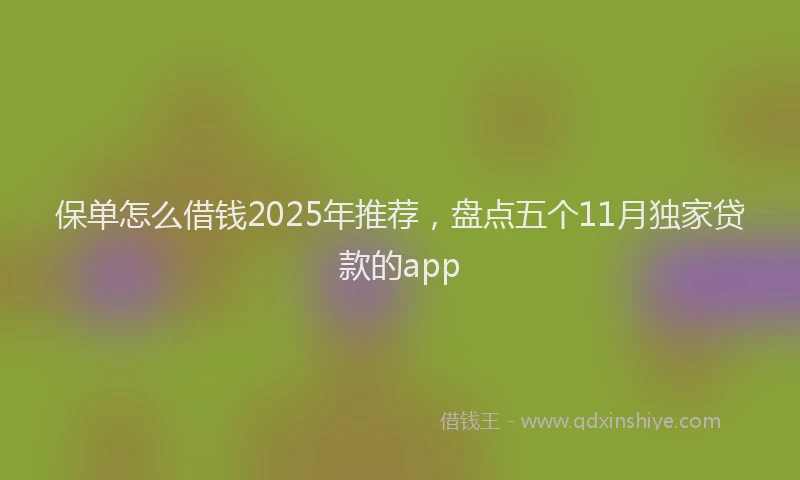 保单怎么借钱2025年推荐，盘点五个11月独家贷款的app