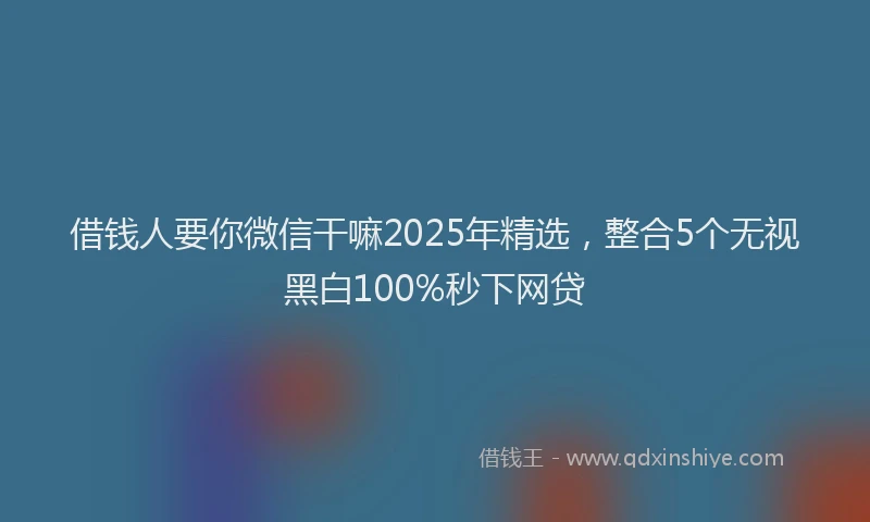 借钱人要你微信干嘛2025年精选，整合5个无视黑白100%秒下网贷