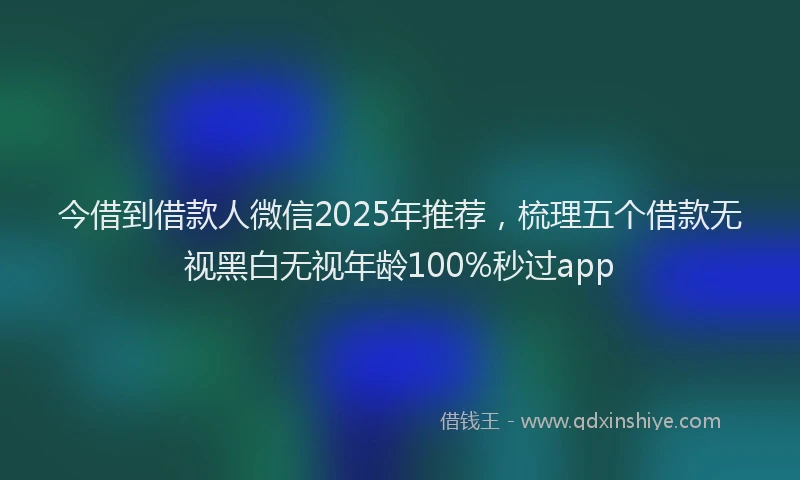 今借到借款人微信2025年推荐，梳理五个借款无视黑白无视年龄100%秒过app