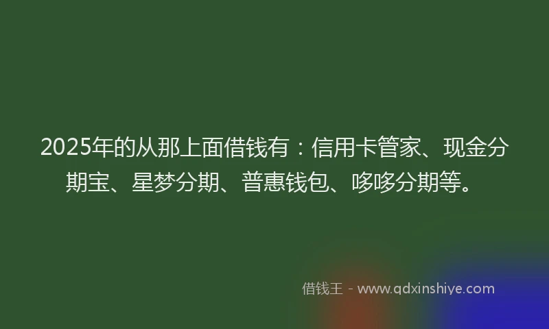 2025年的从那上面借钱有：信用卡管家、现金分期宝、星梦分期、普惠钱包、哆哆分期等。