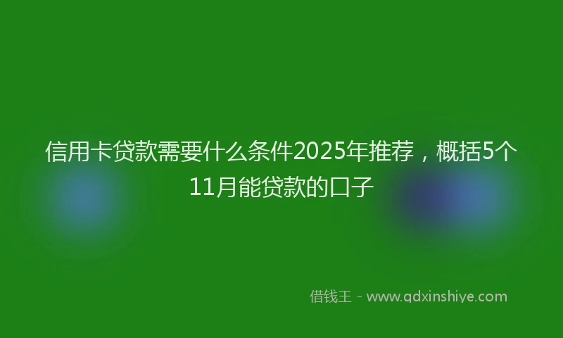 信用卡贷款需要什么条件2025年推荐，概括5个11月能贷款的口子