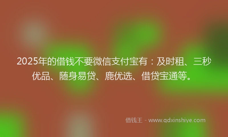 2025年的借钱不要微信支付宝有：及时租、三秒优品、随身易贷、鹿优选、借贷宝通等。