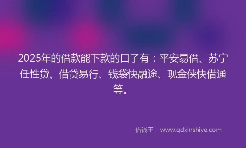 2025年的借款能下款的口子有：平安易借、苏宁任性贷、借贷易行、钱袋快融途、现金侠快借通等。