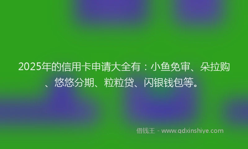 2025年的信用卡申请大全有：小鱼免审、朵拉购、悠悠分期、粒粒贷、闪银钱包等。