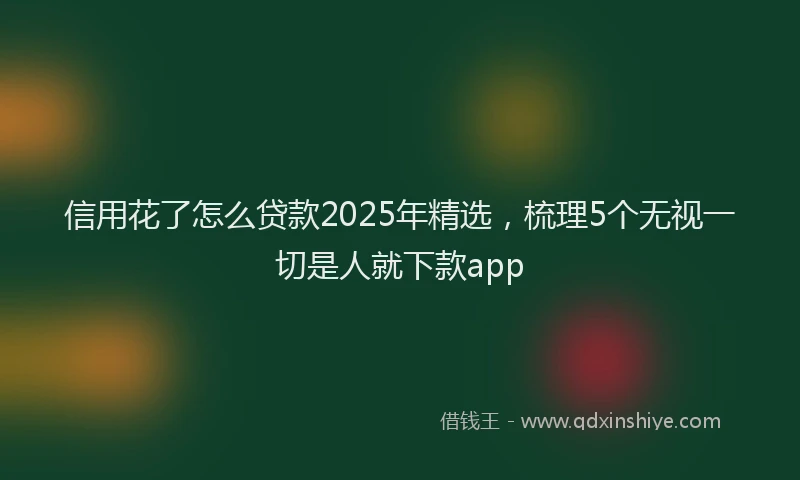 信用花了怎么贷款2025年精选，梳理5个无视一切是人就下款app
