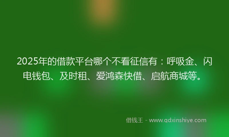 2025年的借款平台哪个不看征信有：呼吸金、闪电钱包、及时租、爱鸿森快借、启航商城等。
