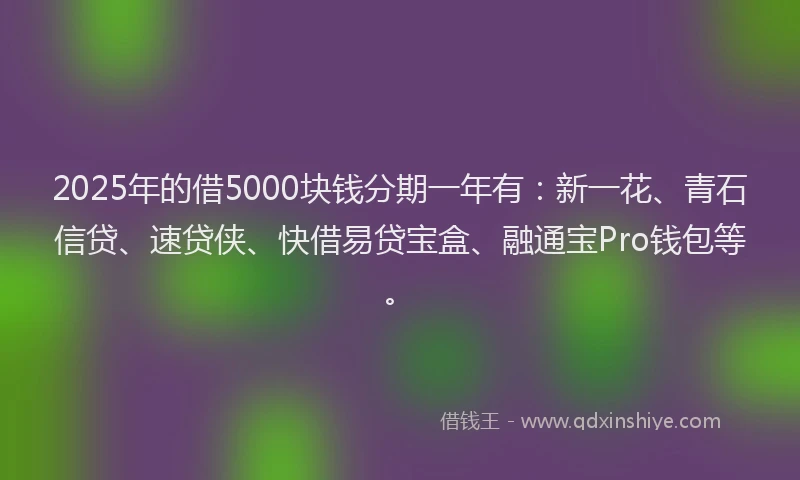 2025年的借5000块钱分期一年有：新一花、青石信贷、速贷侠、快借易贷宝盒、融通宝Pro钱包等。