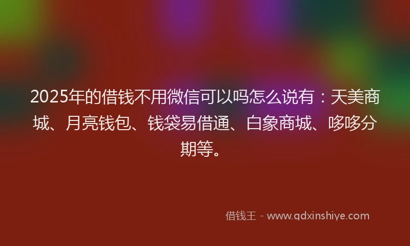2025年的借钱不用微信可以吗怎么说有：天美商城、月亮钱包、钱袋易借通、白象商城、哆哆分期等。