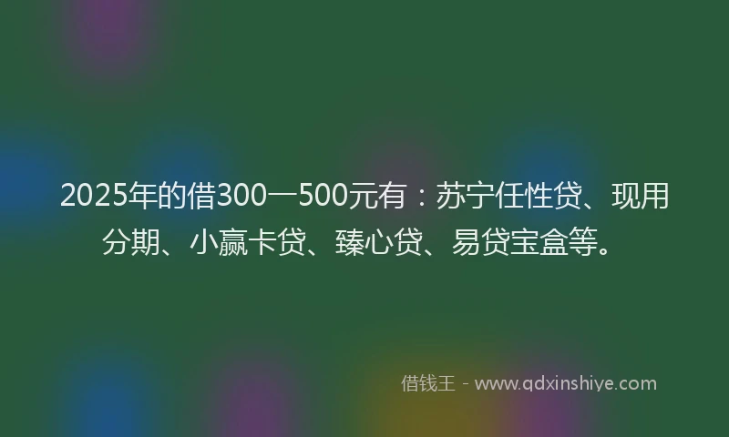 2025年的借300一500元有：苏宁任性贷、现用分期、小赢卡贷、臻心贷、易贷宝盒等。
