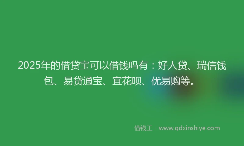2025年的借贷宝可以借钱吗有：好人贷、瑞信钱包、易贷通宝、宜花呗、优易购等。
