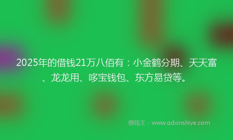 2025年的借钱21万八佰有：小金鹤分期、天天富、龙龙用、哆宝钱包、东方易贷等。