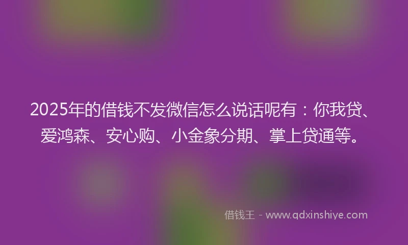 2025年的借钱不发微信怎么说话呢有：你我贷、爱鸿森、安心购、小金象分期、掌上贷通等。